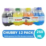 Bebida-Carbonatada-Vivir-Surtido-12-pack-250ml-1-94103