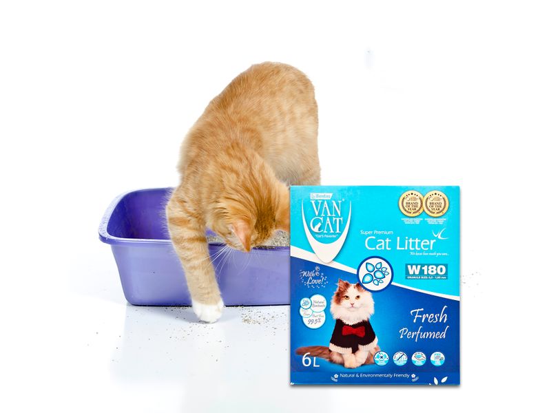 Arena-para-gato-Vancat-Fresh-caja-6L-4-101327