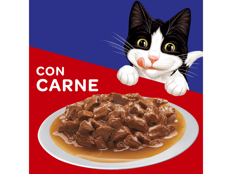 Alimento-Felix-H-medo-Para-Gato-Carne-85gr-7-81168