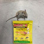 Raticida-Rataton-Rodenticida-En-Pellet-Uso-Dom-stico-Bolsa-25g-4-63488