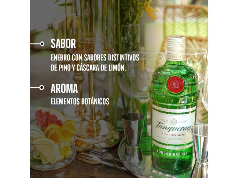 Ginebra-Tanqueray-London-Dry-375ml-5-64719