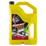 Refrigerante-Ebullient-Coolant-Antifreeze-para-Vehiculo-4100ml-1-55542