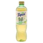 Refresco-Tropical-Te-Verde-Manzana-Pet-500ml-2-26390