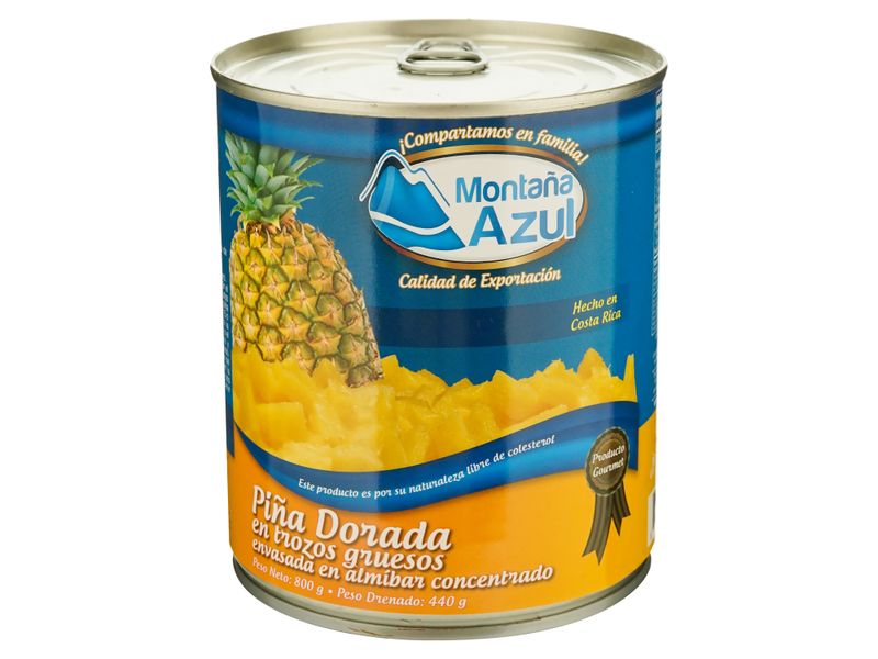 Pi-a-Montana-Azul-Dorada-En-Trozos-Lata-800gr-2-36734