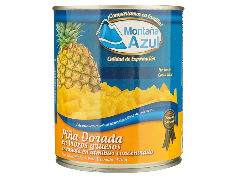 Pi-a-Montana-Azul-Dorada-En-Trozos-Lata-800gr-1-36734