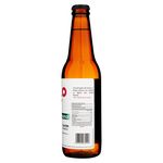 Cerveza-Hello-Artesanal-Citrus-330ml-2-87197