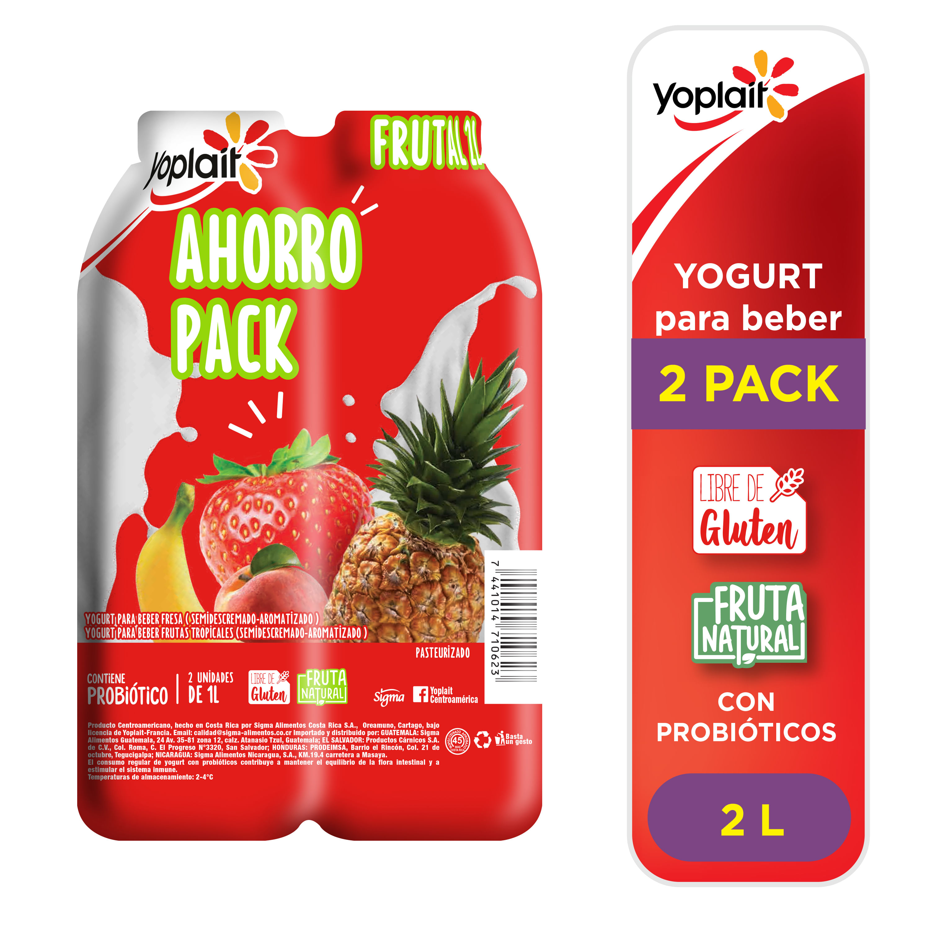 Yogurt-Yoplait-2-Pack-2000-ml-1-88975