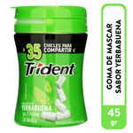 Chicle-Trident-Botella-Sin-Az-car-Sabor-Yerbabuena-35-Uds-45-5g-1-86030