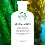 Shampoo-Herbal-Essences-Bio-Renew-6X-Aloe-Sea-Kelp-Protecci-n-del-Color-400-ml-4-74130