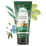 Acondicionador-Herbal-Essences-Bio-Renew-6X-Aloe-Sea-Kelp-Protecci-n-del-Color-250-ml-1-74131
