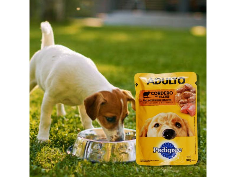 Alimento-Pedigree-Pouche-Adulto-Sabor-Cordero-100gr-5-77545