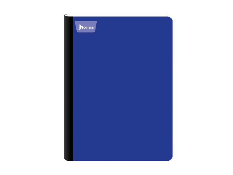 Cuaderno-Norma-cosido-Surtido-100-hojas-4-32678
