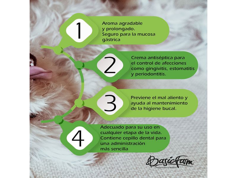 Crema-Dental-Denti-Farm-Para-Mascotas-80gr-5-72784