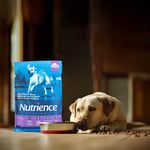 Alimento-Nutrience-Para-Perro-Adulto-Original-Cordero-5000gr-7-81096