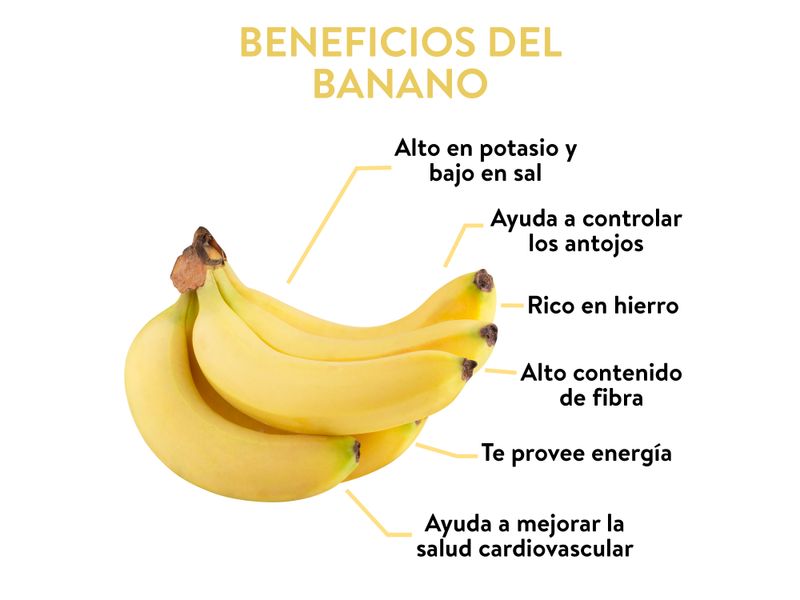 Banano-Cosecha-Unidad-3-57544