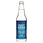 Refresco-Gaseoso-San-Roque-Ginger-Ale-Y-Menta-355-ml-2-92999