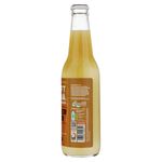 Refresco-Gaseoso-San-Roque-Ginger-Beer-355-ml-3-93000