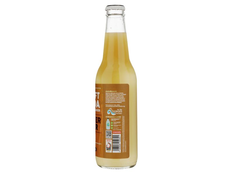 Refresco-Gaseoso-San-Roque-Ginger-Beer-355-ml-3-93000