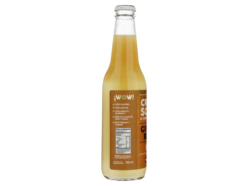 Refresco-Gaseoso-San-Roque-Ginger-Beer-355-ml-4-93000