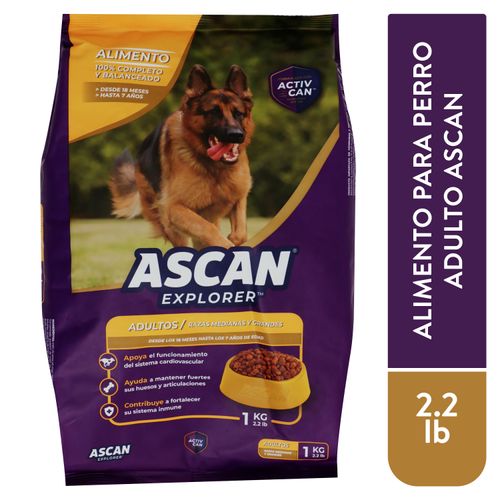 Alimento Ascan Perro Adulto Raza Mediana Y Grande, 12 Meses En Adelante - 1kg