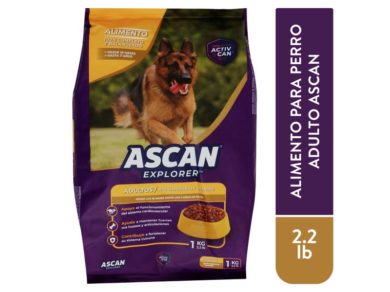 Alimento-Ascan-Perro-Adulto-Raza-Mediana-Y-Grande-12-Meses-En-Adelante-1kg-1-35651