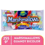 Marsmelos-Marca-Guandy-Bicolor-255g-1-30750