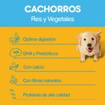 Alimento-Seco-Para-Cachorros-Pedigree-Res-y-Vegetales-2Kg-4-31924