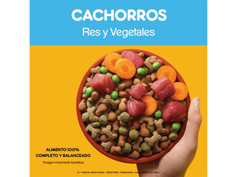 Alimento-Seco-Para-Cachorros-Pedigree-Res-y-Vegetales-2Kg-10-31924