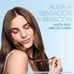 Shampoo-Head-Shoulders-Dermo-Sensitive-Extractos-de-S-bila-Aloe-375ml-6-75357