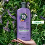 Acondicionador-Herbal-Essences-Anti-Frizz-Lavanda-Aceite-de-Almendras-400-ml-2-80421