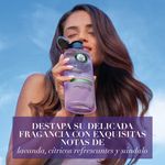 Acondicionador-Herbal-Essences-Anti-Frizz-Lavanda-Aceite-de-Almendras-400-ml-6-80421