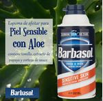 Espuma-Barbasol-Piel-Sensible-283Gr-4-36854