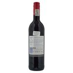 Vino-Tinto-Two-Oceans-Cabernet-Sauvignon-750-ml-2-37165