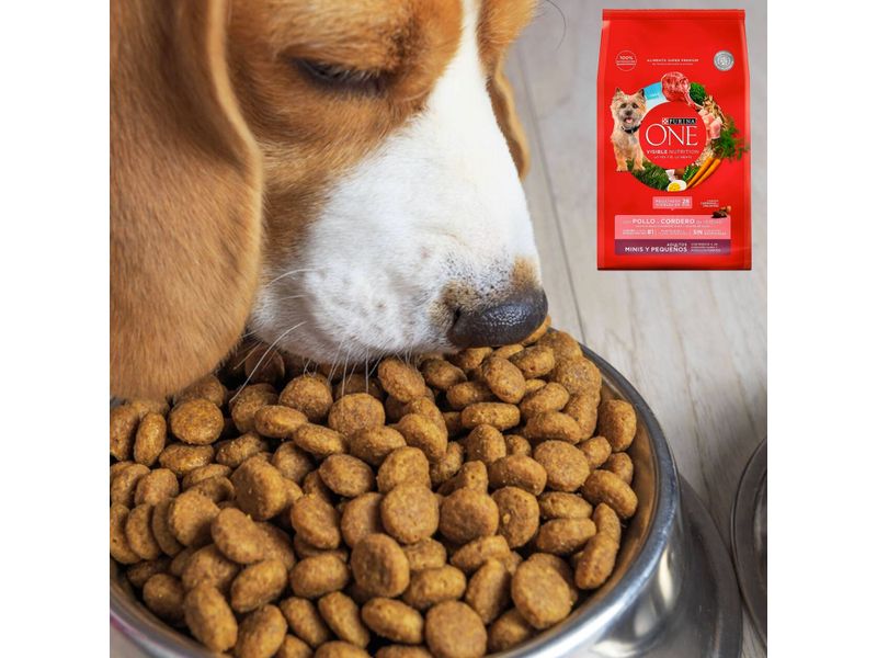 Alimento-Perro-Adulto-Purina-One-Minis-Y-Peque-os-Pollo-Y-Cordero-7kg-5-77521