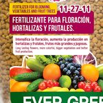 Fertilizante-Granulado-Ever-Green-11-27-11-1Kg-3-45899