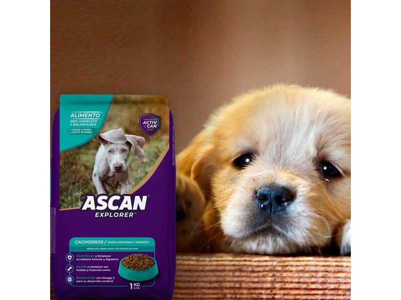 Alimento-Ascan-Perro-Cachorro-Raza-Grande-Y-Mediana-2-Hasta-12-Meses-1kg-4-72875