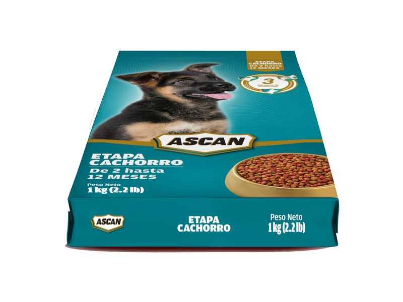 Alimento-Ascan-Perro-Cachorro-Raza-Grande-Y-Mediana-2-Hasta-12-Meses-1kg-5-72875