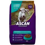 Alimento-Ascan-Perro-Cachorro-Raza-Grande-Y-Mediana-2-Hasta-12-Meses-1kg-2-72875