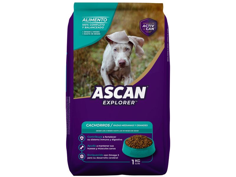 Alimento-Ascan-Perro-Cachorro-Raza-Grande-Y-Mediana-2-Hasta-12-Meses-1kg-2-72875