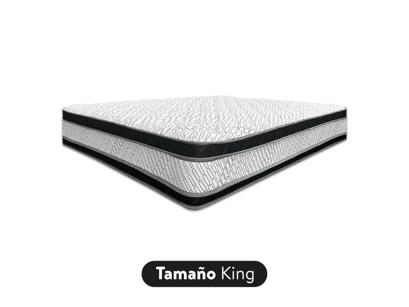 000000000075095655-UN-02