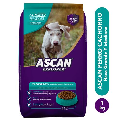 Alimento Ascan para perro cachorro raza medianas y grandes - 1 kg