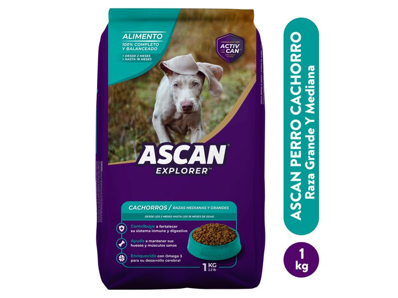 Alimento-Ascan-Perro-Cachorro-Raza-Grande-Y-Mediana-2-Hasta-12-Meses-1kg-1-72875