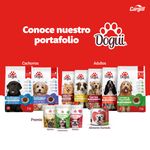 Alimento-Dogui-Perro-Adulto-Parrillada-Razas-Medianas-Y-Grandes-18-Meses-En-Adelante-4kg-6-71111