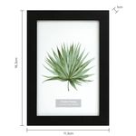 Marco-Fotograf-a-Haus-Borde-Negro-4x6cm-3-95043