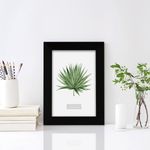 Marco-Fotograf-a-Haus-Borde-Negro-4x6cm-4-95043