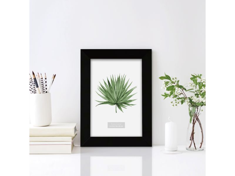 Marco-Fotograf-a-Haus-Borde-Negro-4x6cm-4-95043
