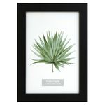 Marco-Fotograf-a-Haus-Borde-Negro-4x6cm-1-95043
