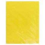 000000000075110784-UN-02