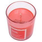 Vela-Arom-tica-George-Home-Wild-Berry-4-5-onzas-4-47344