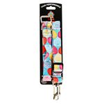 Juego-Correa-Collar-Mascota-Segurid-2U-2-94837